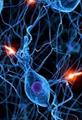 مقاله سیستم های مبتنی بر شبکه عصبی