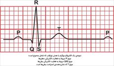 پاورپوینت بیماریهای قلبی, راههای پیشگیری و کنترل بیماریهای قلبی عروقی - 55 اسلاید