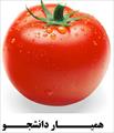 مقاله ای درباره کشت گوجه فرنگی