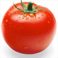 پاورپوینت کامل کنترل علف های هرز گوجه فرنگی