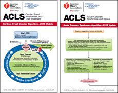 دانلود پاورپوینت ACLS - شامل 19 اسلاید