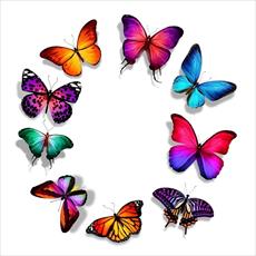 تحقیق درباره پروانه ها و روش زندگی پروانه ها - 15 صفحه
