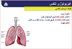 پاورپوینت 43 اسلایدی فیزیولوژی تنفس