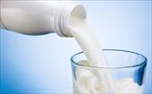 مقاله ای پیرامون میزان مصرف شیر
